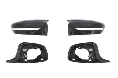 Housing, exterior mirror BLIC 6103-01-0068100KP