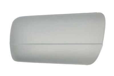 Housing, exterior mirror BLIC 6103-01-1311529P