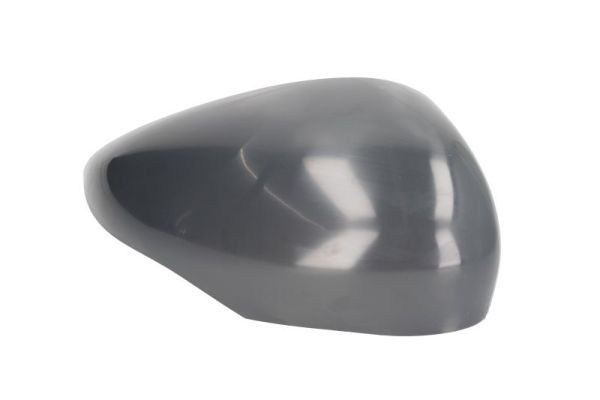 BLIC 6103-01-1312520P Housing, exterior mirror