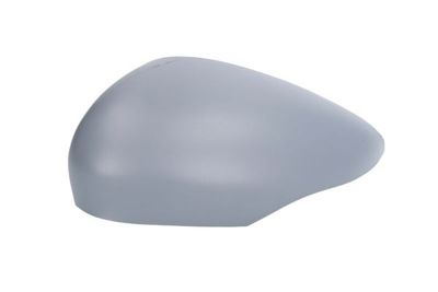 Housing, exterior mirror BLIC 6103-01-1312521P