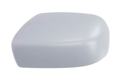 Housing, exterior mirror BLIC 6103-01-1321321P