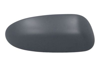 Housing, exterior mirror BLIC 6103-01-1322338P