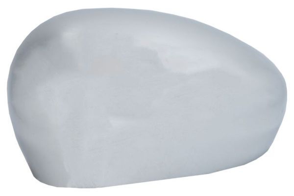 BLIC 6103-01-1325933P Housing, exterior mirror