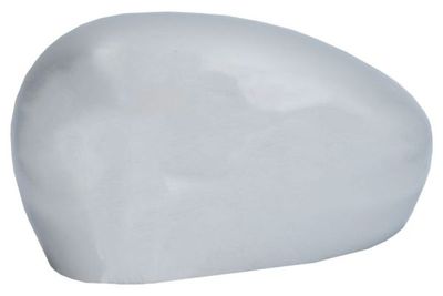 Housing, exterior mirror BLIC 6103-01-1325933P