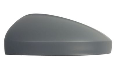 Cover, exterior mirror BLIC 6103-01-1609312P
