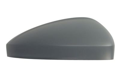 Cover, exterior mirror BLIC 6103-01-1609313P