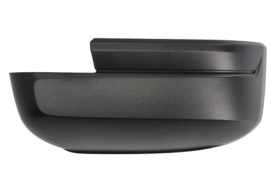 Cover, exterior mirror BLIC 6103-01-1999312P
