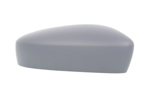 BLIC 6103-01-2002602P Housing, exterior mirror