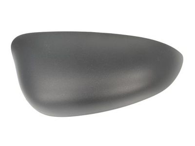 Housing, exterior mirror BLIC 6103-03-048350P