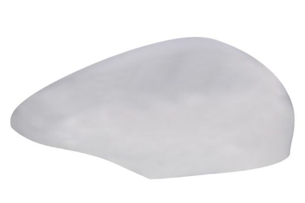 BLIC 6103-03-2001188P Housing, exterior mirror