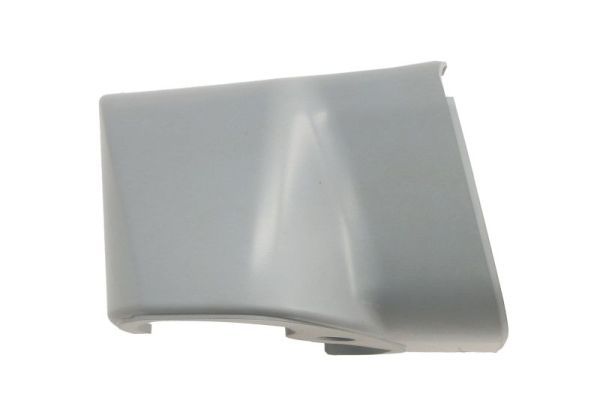 BLIC 6103-04-2002021P Housing, exterior mirror