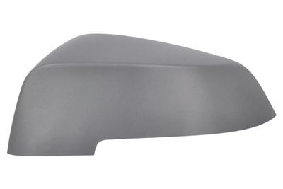 Cover, exterior mirror BLIC 6103-05-1637310P
