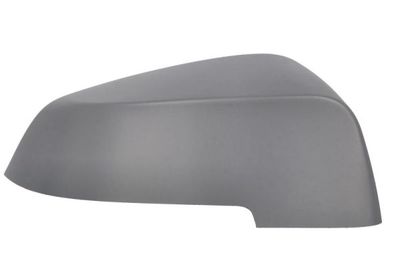 Cover, exterior mirror BLIC 6103-05-1637311P
