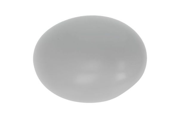 BLIC 6103-05-2001842P Housing, exterior mirror