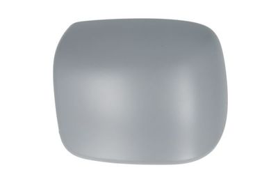 Housing, exterior mirror BLIC 6103-07-039352P