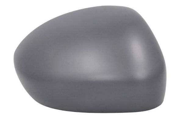 BLIC 6103-07-2590311P Cover, exterior mirror