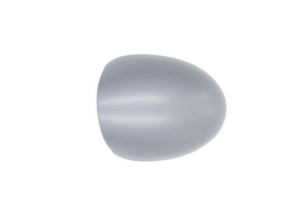 BLIC 6103-09-2002217P Housing, exterior mirror
