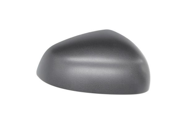 BLIC 6103-09-2002248P Housing, exterior mirror