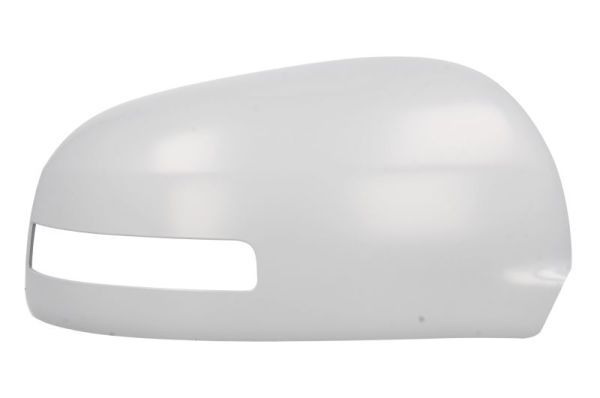 BLIC 6103-15-2001864P Housing, exterior mirror