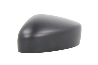 Cover, exterior mirror BLIC 6103-16-2001917P