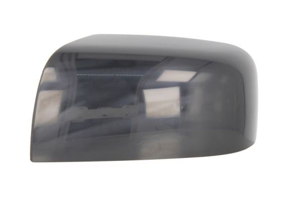 BLIC 6103-16-2001963P Housing, exterior mirror