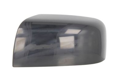 Housing, exterior mirror BLIC 6103-16-2001963P