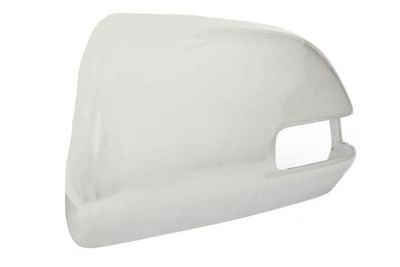 Housing, exterior mirror BLIC 6103-19-2002481P