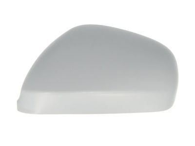 Housing, exterior mirror BLIC 6103-22-017353P