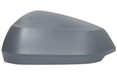 Cover, exterior mirror BLIC 6103-25-0067310P