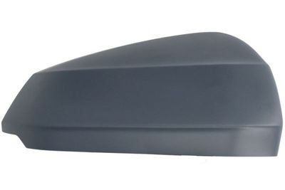 Cover, exterior mirror BLIC 6103-25-0067313P