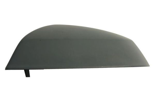 BLIC 6103-25-1875310P Cover, exterior mirror