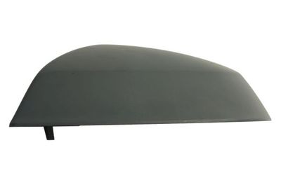 Cover, exterior mirror BLIC 6103-25-1875310P