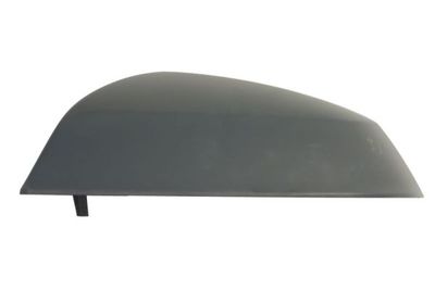 Cover, exterior mirror BLIC 6103-25-1875312P