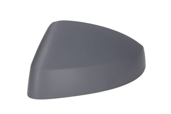 BLIC 6103-25-2001025P Housing, exterior mirror
