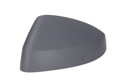 Housing, exterior mirror BLIC 6103-25-2001025P