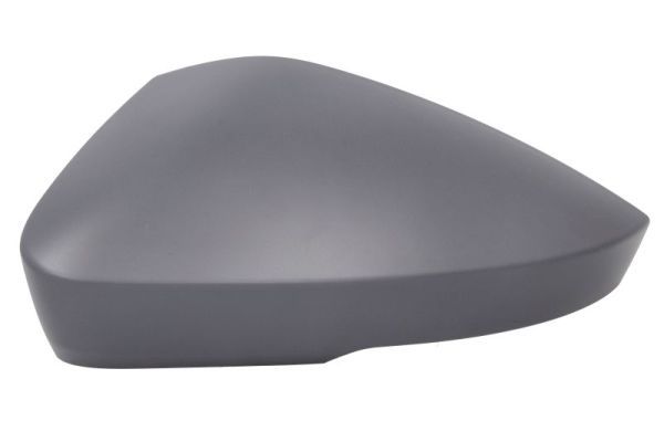 BLIC 6103-43-1319310P Cover, exterior mirror