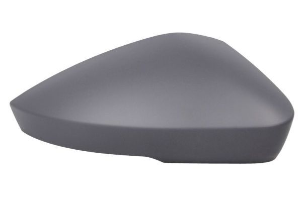 BLIC 6103-43-1319311P Cover, exterior mirror