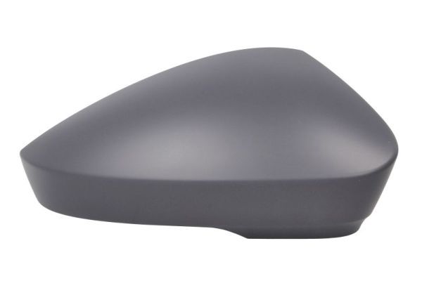 BLIC 6103-43-1925313P Cover, exterior mirror