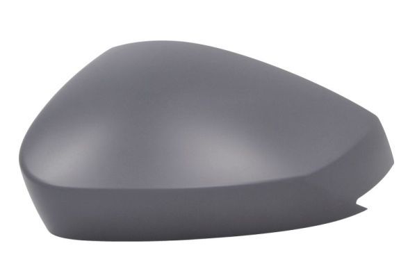 BLIC 6103-43-2557312P Cover, exterior mirror