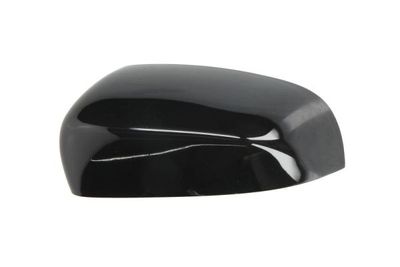 Housing, exterior mirror BLIC 6103-55-2001483P