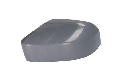 Housing, exterior mirror BLIC 6103-01-0104291P
