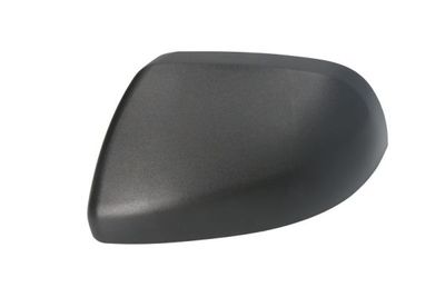 Housing, exterior mirror BLIC 6103-01-0203891P