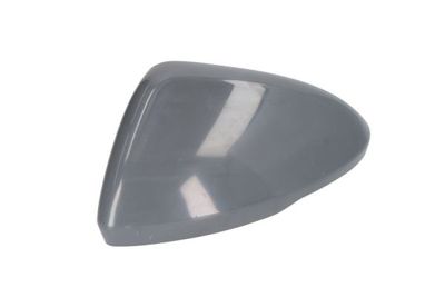 Housing, exterior mirror BLIC 6103-01-0405291P