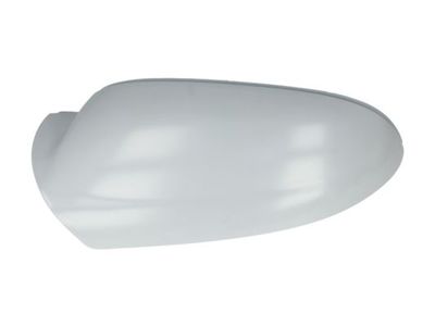 Housing, exterior mirror BLIC 6103-01-1311191P