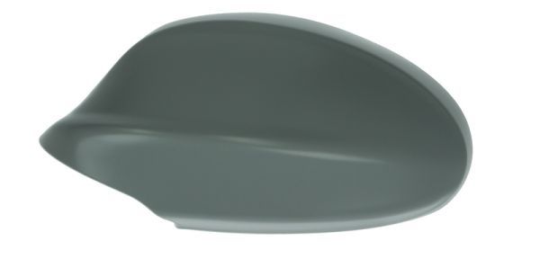 BLIC 6103-01-1311520P Housing, exterior mirror