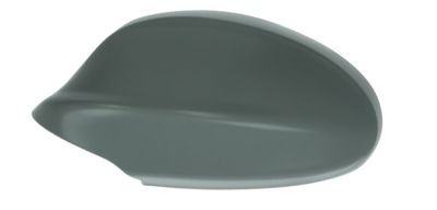 Housing, exterior mirror BLIC 6103-01-1311520P