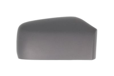 Housing, exterior mirror BLIC 6103-01-1312511P