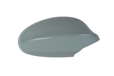Housing, exterior mirror BLIC 6103-01-1312523P