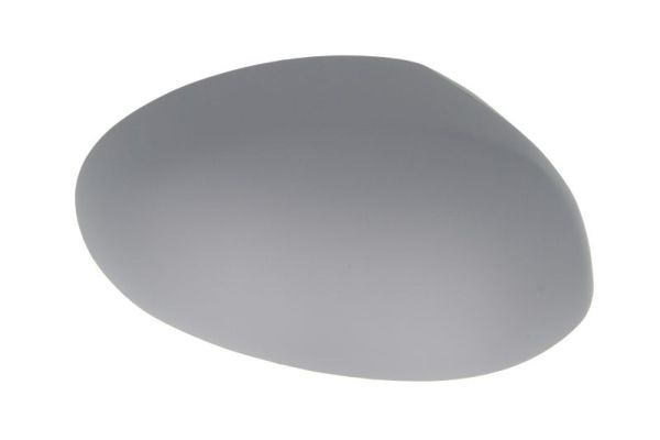BLIC 6103-01-1312857P Housing, exterior mirror