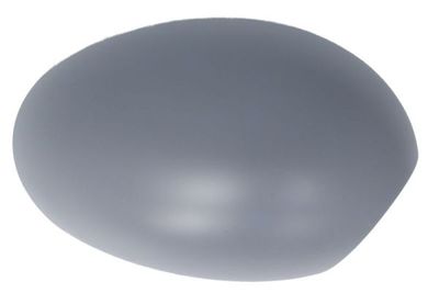 Housing, exterior mirror BLIC 6103-01-1312952P